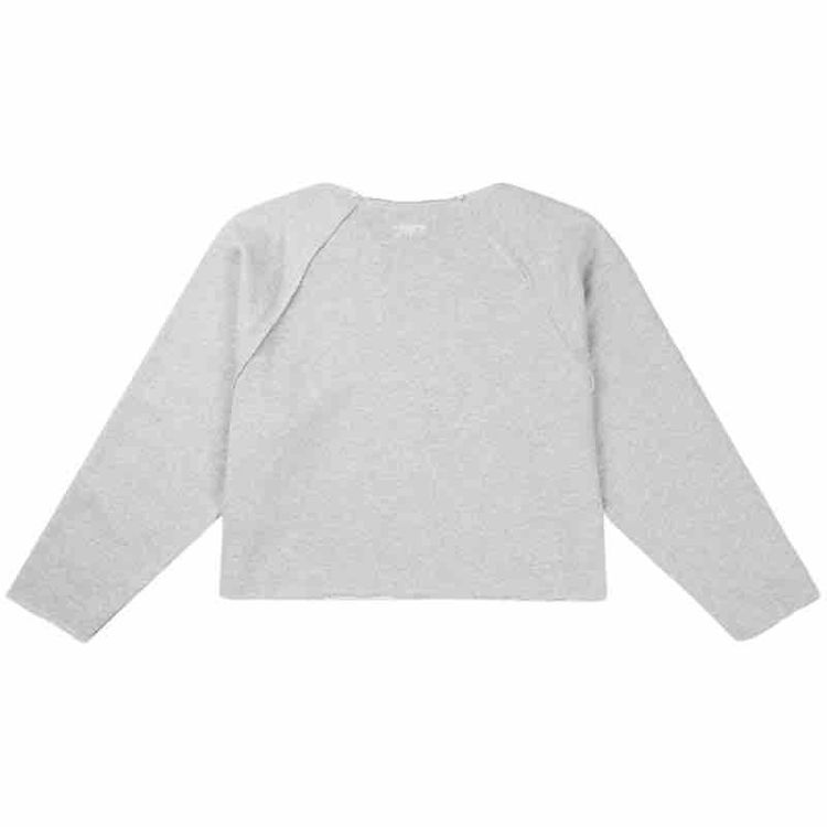 sweatshirt rag